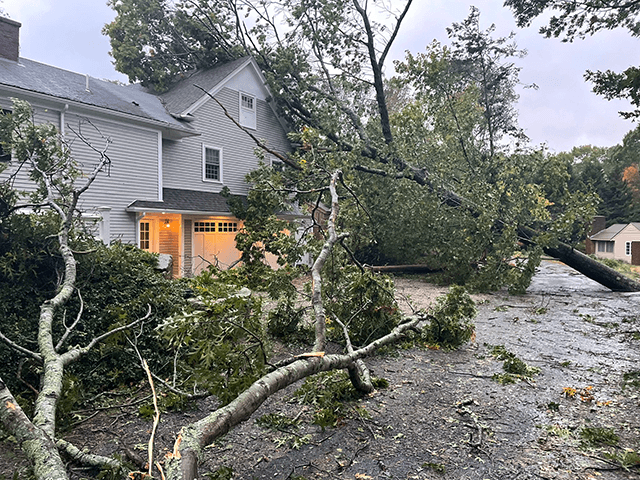 Nor'easter Pummels Massachusetts: Upwards of 490,000 Businesses and Homes Lose Power thumbnail