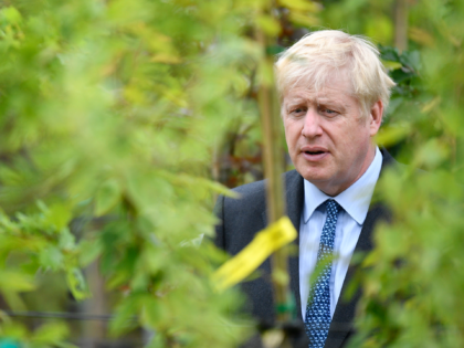 BRAINTREE, ENGLAND - JULY 13: Conservative leadership contender Boris Johnson looks at a tree during a photo opportunity at King and Co. Tree Nursery on July 13, 2019 in Braintree, England. The race between Boris Johnson and Jeremy Hunt to find the next leader of the Conservative Party and Prime …