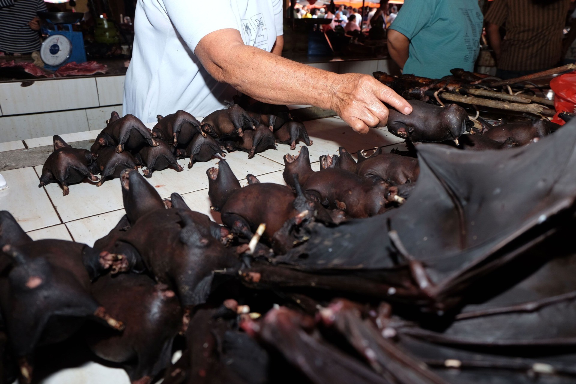 This photo taken on February 8, 2020 shows a vendor selling bats at the Tomohon Extreme Meat market on Sulawesi island, as business is booming and curious tourists keep arriving to check out exotic fare that enrages animal rights activists. - Bats, rats and snakes are still being sold at an Indonesian market known for its 'extreme' wildlife offerings, despite calls to take them off the menu over fears of COVID-19 coronavirus link. (Photo by Ronny Adolof Buol / AFP) (Photo by RONNY ADOLOF BUOL/AFP via Getty Images)