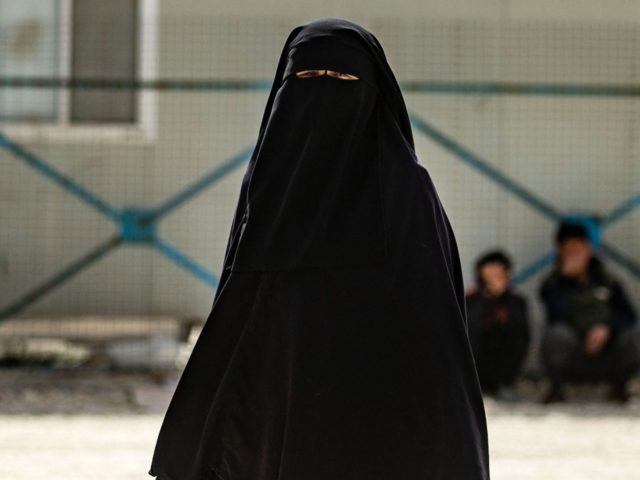 Denmark and Germany Fly Back 11 ISIS Women and Their Children - Vimarsana News