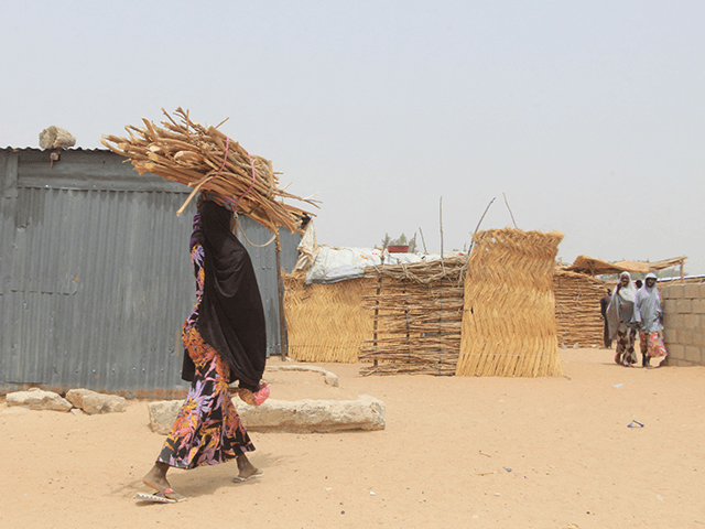 A woman carries wood on her head Yawuri informal camp on the outskirts of Maiduguri, capital of Borno state, on March 29, 2021. - The makeshift camp hosts nearly 2,000 people internally displaced by a decade-long jihadist insurgency in northeast Nigeria. Borno hosts over 80 percent of the nearly two …