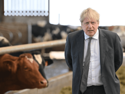 WREXHAM, WALES - APRIL 26: UK prime minister Boris Johnson visits Moreton farm near Wrexha