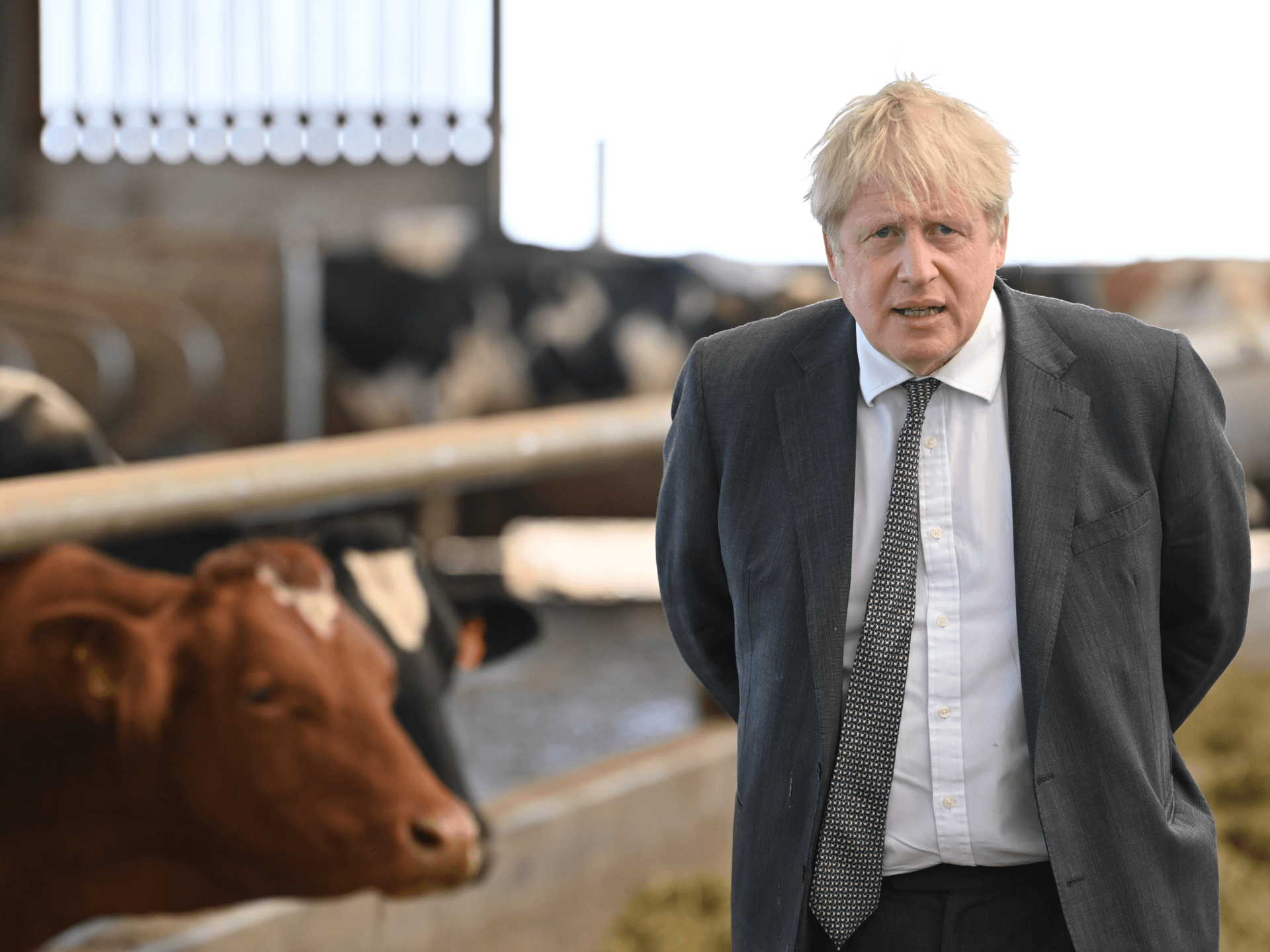 Build Back Butter? Boris Govt Pushes Carbon Taxes on Meat and Dairy - Vimarsana News