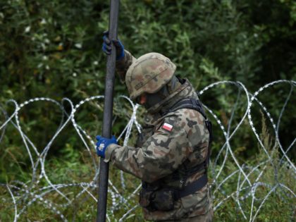 A Polish soldier works on the construction of a barbed wire fence on the border with Belar