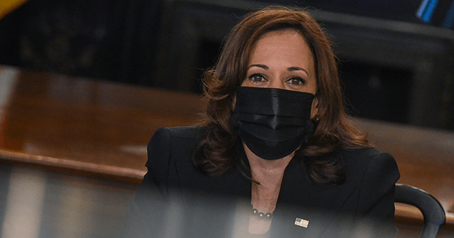 Kamala Harris, Without Evidence, Blames Low Wages for Supply Chain Crisis