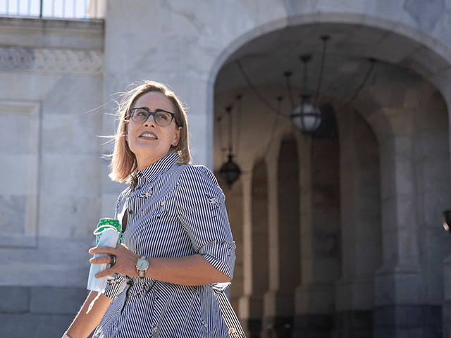 VIDEO: Bride, Mother Beg Leftist Anti-Sinema Protesters to Stop ‘Ruining’ Wedding