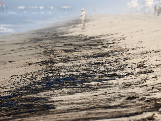 A person stands near oil washed up on Huntington State Beach after a 126,000-gallon oil spill from an offshore oil platform on October 3, 2021 in Huntington Beach, California. The spill forced the closure of the popular Great Pacific Airshow with authorities urging people to avoid beaches in the vicinity. …