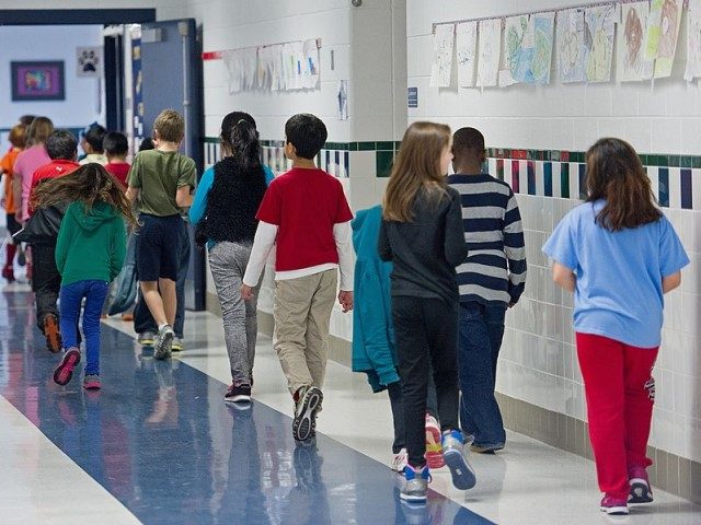 Students walking the hallways are seen February 21, 2014, at Steuart W. Weller Elementary School in Ashburn, Virginia AFP PHOTO/Paul J. Richards (Photo credit should read PAUL J. RICHARDS/AFP via Getty Images)