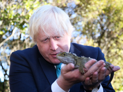 WELLINGTON, NEW ZEALAND - JULY 25: UK Foreign Secretary Boris Johnson holds a tuatara during a visit to Zealandia ecosanctuary on July 25, 2017 in Wellington, New Zealand. The British Foreign Secretary and former London Mayor is visiting New Zealand on a two-day trip. (Photo by Hagen Hopkins-Pool/Getty Images)