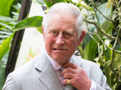 SINGAPORE - NOVEMBER 01: Prince Charles, Prince of Wales tours the Orchid Garden at the National Botanical Gardens on November 1, 2017 in Singapore. Prince of Wales and Camilla, Duchess of Cornwall are on a tour of Singapore, Malaysia, Brunei and India. (Photo by Arthur Edwards - Pool /Getty Images)