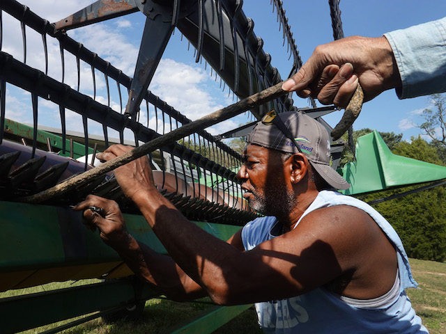 Norman Greer, 84, and William Ballard (L) repair a grain table on Greer's farm as the threat of rain delays their plans to harvest soybeans on October 11, 2021 in Princeton, Indiana. (Scott Olson/Getty Images)