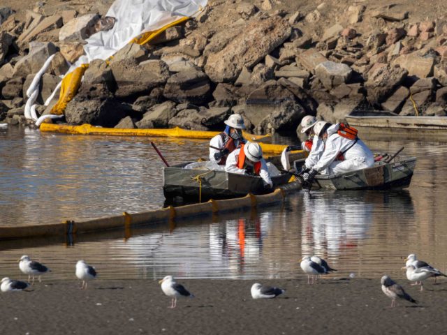 PHOTOS: Oil Spill in Huntington Beach Threatens Coastline, Wildlife - Vimarsana News