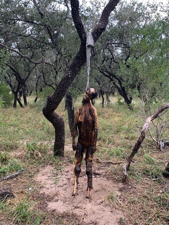 Border Patrol agents and Brooks County sheriff's deputies recovered the remains of a migrant found hanging in a tree on a ranch 80 miles from the Texas-Mexico border. (Photo: Brooks County Sheriff's Office)