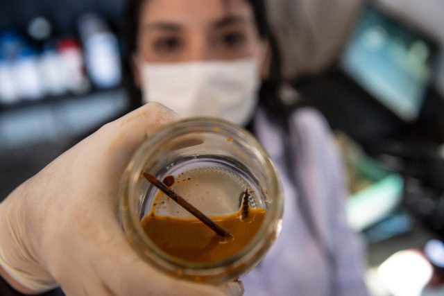 Chilean biotechnologist Nadac Reales shows a nail and screw inside a jar with metal-eater