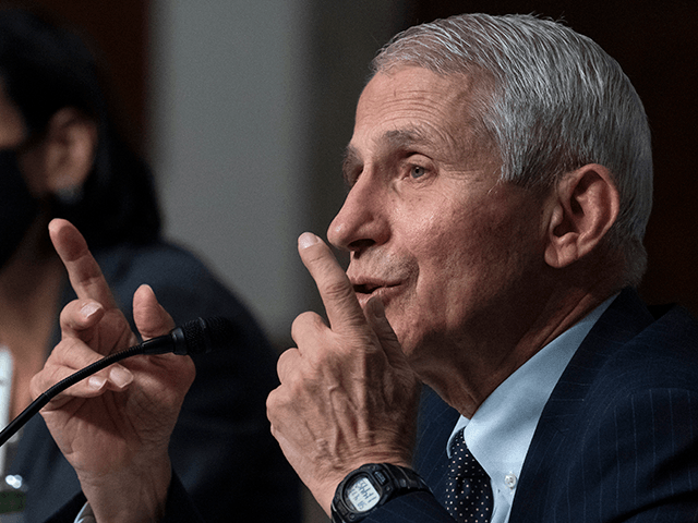 Dr. Anthony Fauci, right, director of the National Institute of Allergy and Infectious Diseases, speaks during a Senate Health, Education, Labor, and Pensions Committee hearing on Capitol Hill, Thursday, Nov. 4, 2021, in Washington. (AP Photo/Alex Brandon)