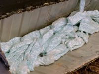 Mexican Cartels’ Fentanyl Operations Benefit from Migrant Border Crisis