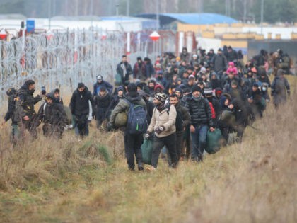 TOPSHOT - A group of migrants moves along the Belarusian-Polish border towards a camp to join those gathered at the spot and aiming to enter EU member Poland, in the Grodno region on November 12, 2021. - Hundreds of desperate migrants are trapped in freezing temperatures on the border and …
