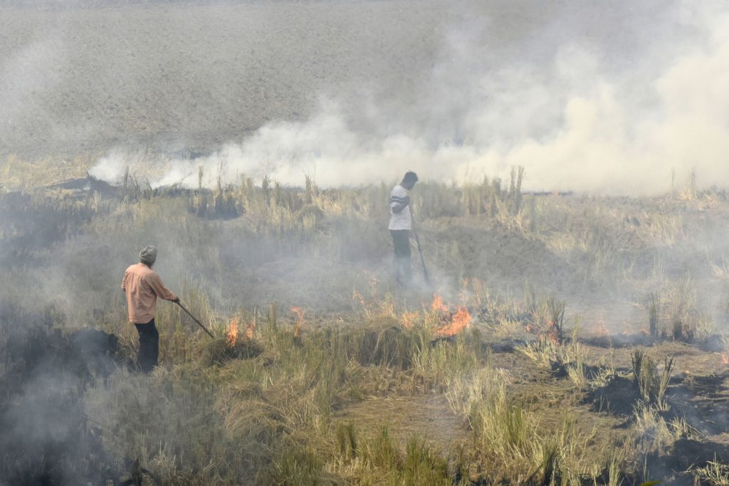 In this photo taken on November 6, 2019, farmers burn straw stubble after harvesting paddy crops in a field at a village near Sultanpur Lodhi. - Police have arrested more than 80 farmers in a northern Indian state for starting some of the fires blamed for the new pollution crisis in New Delhi and other cities, officials said November 7. (Photo by NARINDER NANU / AFP) / The erroneous mention[s] appearing in the metadata of this photo by NARINDER NANU has been modified in AFP systems in the following manner: [November 6] instead of [October 6]. Please immediately remove the erroneous mention[s] from all your online services and delete it (them) from your servers. If you have been authorized by AFP to distribute it (them) to third parties, please ensure that the same actions are carried out by them. Failure to promptly comply with these instructions will entail liability on your part for any continued or post notification usage. Therefore we thank you very much for all your attention and prompt action. We are sorry for the inconvenience this notification may cause and remain at your disposal for any further information you may require. (Photo by NARINDER NANU/AFP via Getty Images)