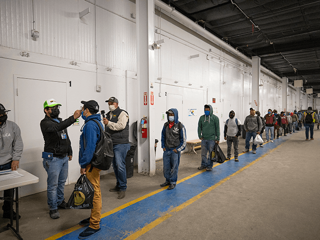 KING CITY, CA - APRIL 28: Migrant farm laborers with Fresh Harvest working with an H-2A visa have their temperature checked and are asked questions about their health before boarding the bus to their shift, in the company living quarters on April 28, 2020 in King City, California. Good accommodations …