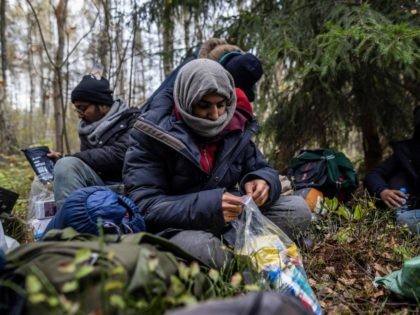 A group of migrants from Yemen are seen in the woods near Grodek, Poland, on October 16, 2021. - Thousands of migrants, mostly from the Middle East have crossed or tried to cross from Belarus since the summer. The EU believes the Belarusian regime is deliberately sending the migrants over …