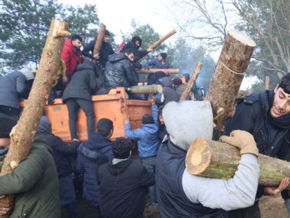 Migrants unload a truck with tree trunks delivered by the Belarusian officials in a camp on the Belarusian-Polish border in the Grodno region on November 12, 2021. - Hundreds of desperate migrants are trapped in freezing temperatures on the border and the presence of troops from both sides has raised …