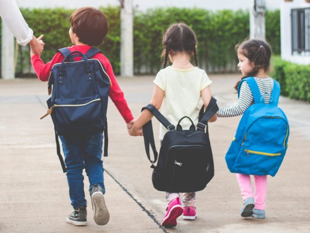 Turk Accused of Deliberately Running over German Children, Killing One - Vimarsana News