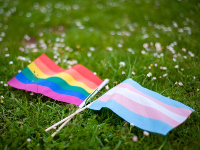 The rainbow LGBTQIA pride flag and the transgender pride flag together, lying in the grass intertwined.