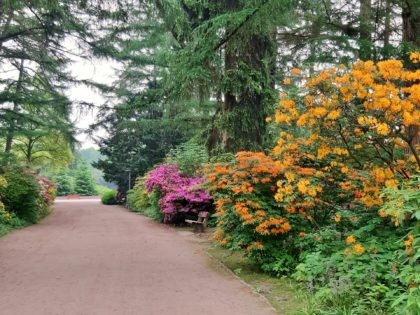 Path through the Hamburg City Park