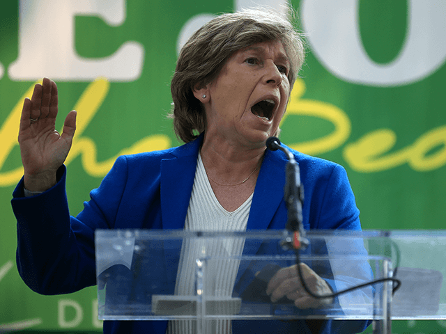 American Federation of Teachers president Randi Weingarten addresses a 'Let's Finish the Job for the People' rally near the U.S. Capitol on September 14, 2021 in Washington, DC. Politicians and activists called on the U.S. Senate to fulfill their commitment to taking up voting rights and pass the For the …