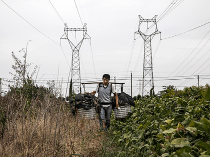A man is seen carrying farm tools as he walks past an electric tower on October 13, 2021 i