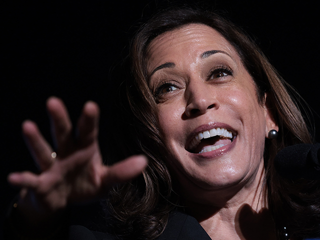 U.S. Vice President Kamala Harris speaks at a campaign event for Virginia Gov. Terry McAuliffe on October 21, 2021 in Dumfries, Virginia. The Virginia gubernatorial election, pitting McAuliffe against Republican candidate Glenn Youngkin, is November 2. (Photo by Win McNamee/Getty Images)
