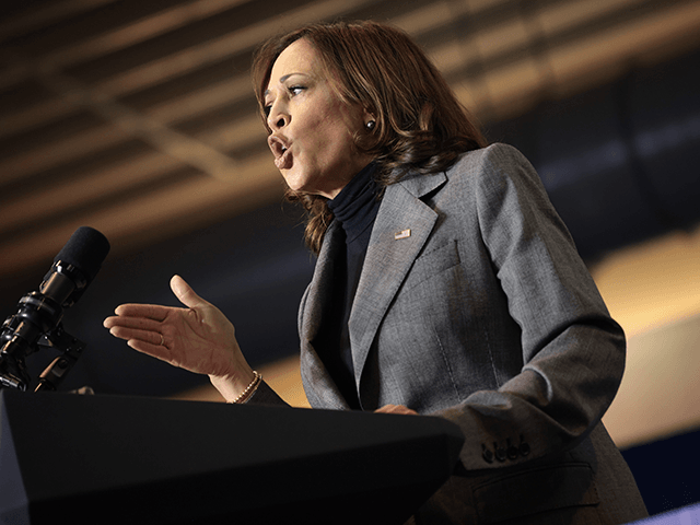Kamala Harris Backtracks for Biden — ‘If Russia Takes Aggressive Action, We Are Prepared to Levy Serious and Severe Costs’