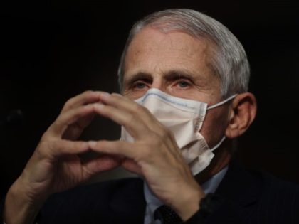 National Institute of Allergy and Infectious Diseases Director Anthony Fauci prepares to t