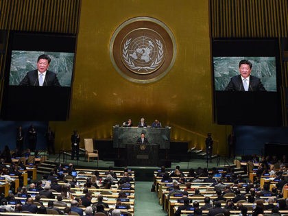 Xi Jinping, President of the Peoples Republic of China addresses the 70th Session of the UN General Assembly September 28, 2015 at the UN in New York. AFP PHOTO / TIMOTHY A. CLARY (Photo credit should read TIMOTHY A. CLARY/AFP via Getty Images)