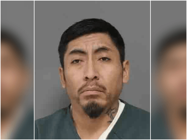 An illegal alien has been arrested after allegedly attempting to …