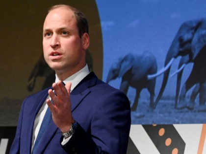 Britain's Prince William, Duke of Cambridge delivers a speech during The Tusk Conservation Awards ceremony in London on November 22, 2021. - Launched with Prince William in 2013, the awards celebrate the work of leading conservationists in Africa. The ceremony will return this year as a face-to-face event at the …