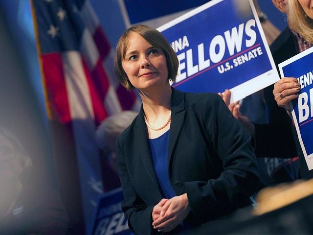 Shenna Bellows candidate for U.S. Senate speaks at the Maine Democratic Convention in Bangor, Maine, Saturday, May 31, 2014. (AP Photo/Michael C. York)