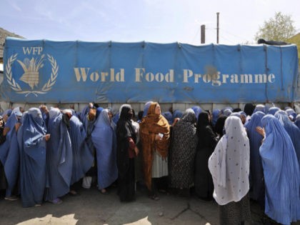 Burqa-clad Afghan women line up to receive food donation from the World Food Programme (WFP) in Kabul on April 17, 2008. International aid groups have stepped up food aid to more than two million Afghans in the wake of soaring prices of basic staples, officials said on April 16. Food …