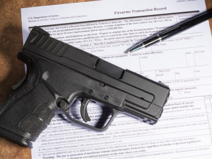 Background check for a gun purchase with a handgun - stock photo