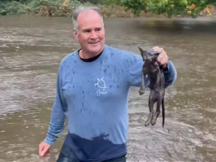 WATCH: Sacramento Man Rescues Kitten Caught in Raging Floodwaters