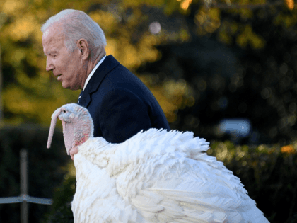 US President Joe Biden pardons the turkey 'Peanut Butter' during the White House Thanksgiving turkey pardon in the Rose Garden of the White House in Washington, DC on November 19, 2021.