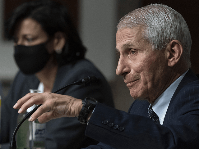 Dr. Anthony Fauci, right, director of the National Institute of Allergy and Infectious Diseases, speaks as Dr. Rochelle Walensky, Director of the Centers for Disease Control and Prevention (CDC) listens during a Senate Health, Education, Labor, and Pensions Committee hearing on Capitol Hill, Thursday, Nov. 4, 2021, in Washington. (AP …