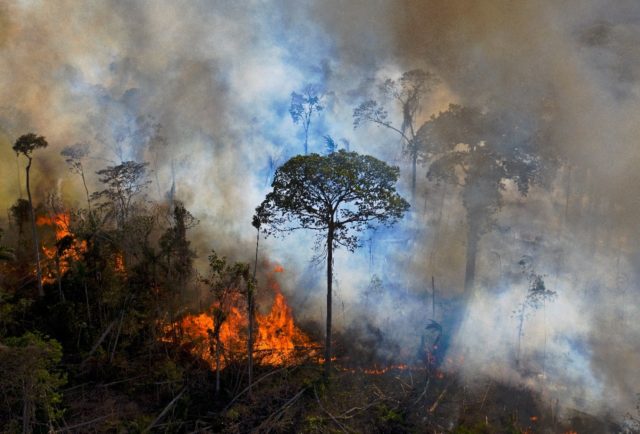 An illegally lit fire in the Amazon rainforest in Brazil's Para state -- the country has v