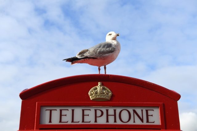 UK telecoms operator Ofcom estimates some 5,000 public telephone boxes could be saved from