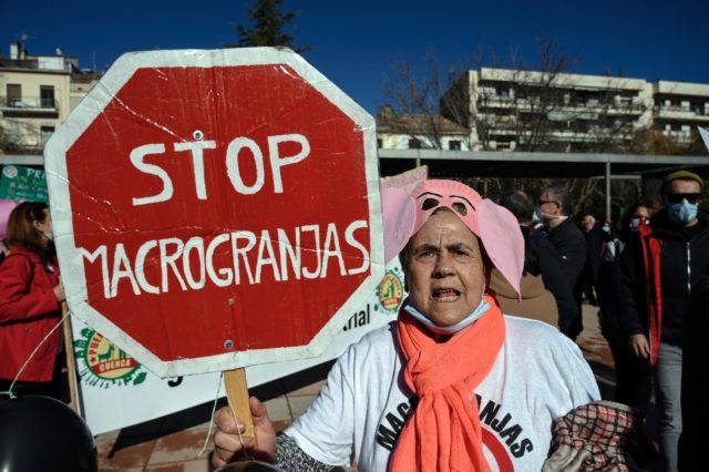 'Stop macrofarms': protesters are demanding an end to intensive factory-farming of pigs in