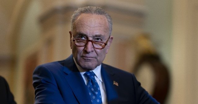 Chuck Schumer Bringing 'Assault Weapons' Ban to Senate Floor this Week