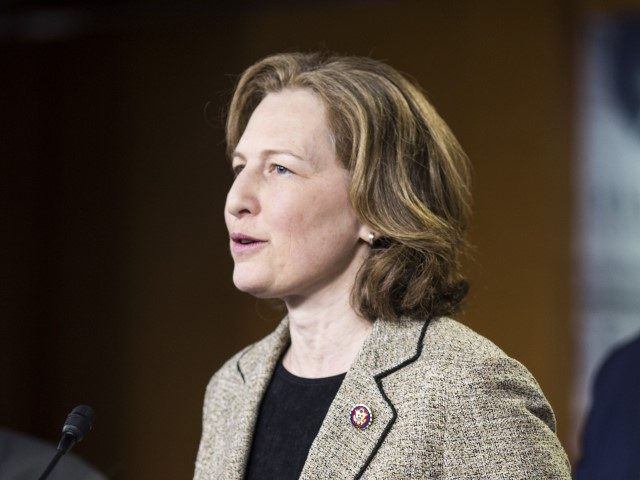 Rep. Kim Schrier (D-WA) speaks during a news conference on April 9, 2019 in Washington, DC. House Democrats unveiled new letters to the Attorney General, HHS Secretary, and the White House demanding the production of documents related to Americans health care in the Texas v. United States lawsuit. Also pictured …