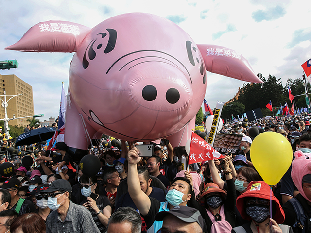 People attend the annual pro-labor march 'Autumn Struggle' to protest against th