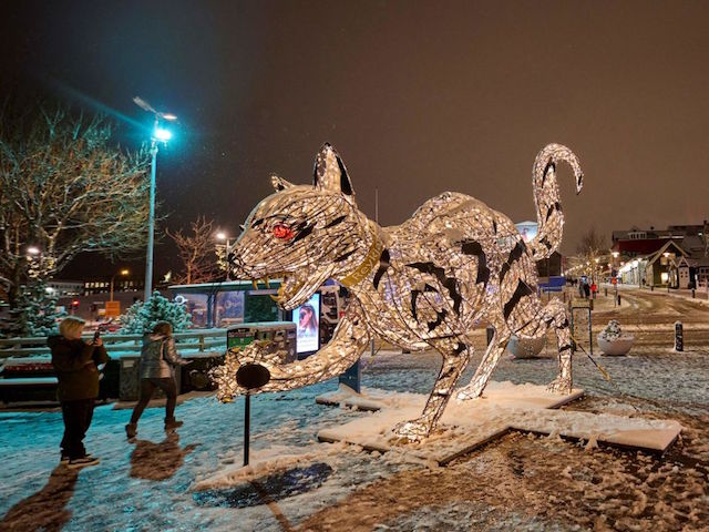 People take photos of an illuminated cat sculpture in a snow-covered park in downtown Reykjavik on November 29, 2021. - The new Christmas beer made from green peas and marinated red cabbage is a hit in Iceland this festive season. Made by a small Reykjavik brewery, the recipe for 'Ora jolabjor', or Ora Christmas Beer, is inspired by Iceland's traditional Christmas dinner, where peas and red cabbage are typically served alongside smoked leg of lamb and caramelised potatoes. (Photo by Halldor KOLBEINS / AFP) (Photo by HALLDOR KOLBEINS/AFP via Getty Images)