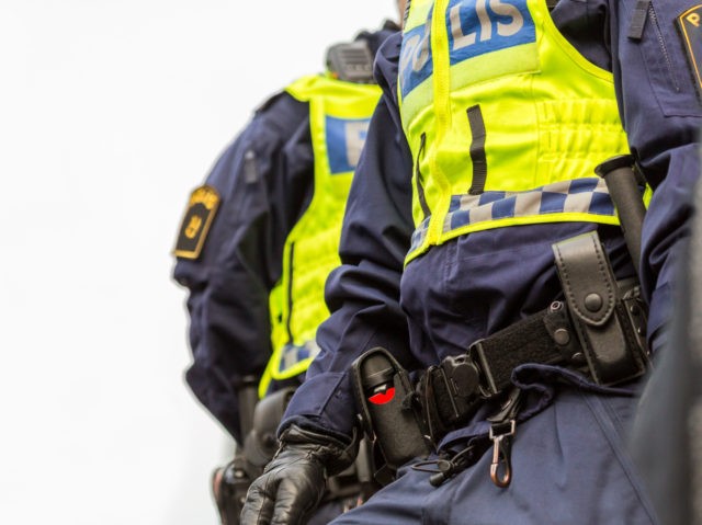 Two police officers, close up of upper body with vest and equipment belt. Policeman and po